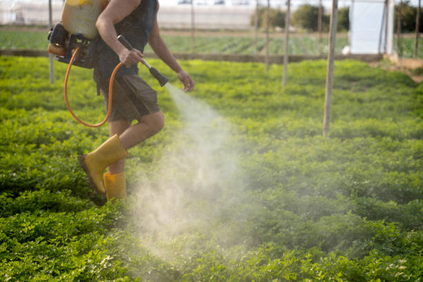 Professional Pest Control in Waterford, CA